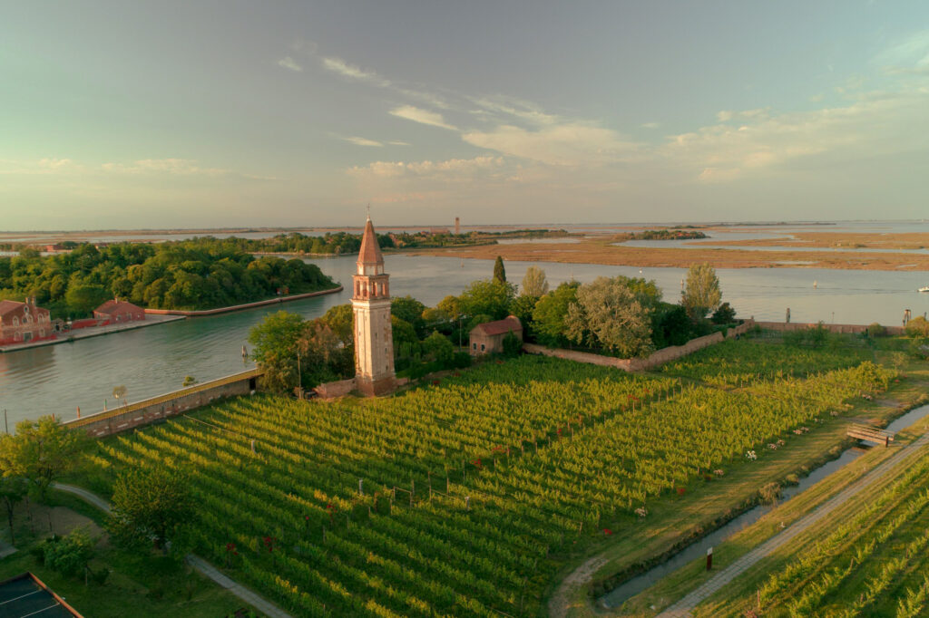 Wine in Venice